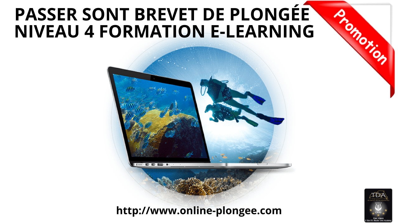 Niveau 4 en plongée CMAS