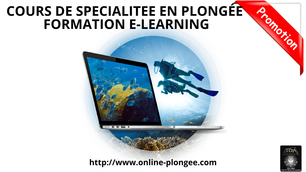 Niveau Spécialitée en plongée CMAS